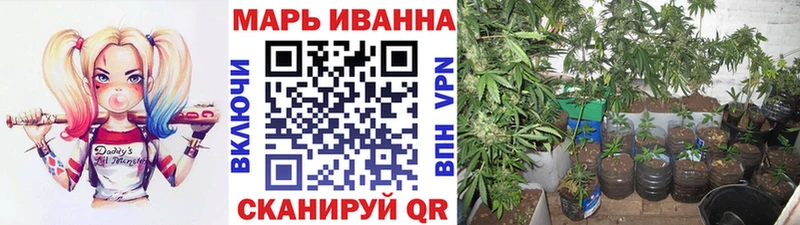 Бошки марихуана AK-47  дарнет шоп  omg как зайти  darknet телеграм  Сокол 